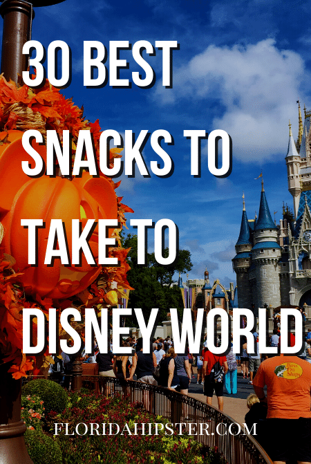 Florida Travel Guide to the 30 Best Snacks to Take to Disney World