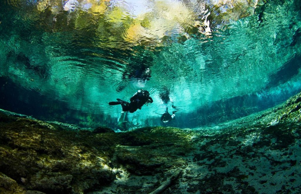 Ginnie Springs, Florida with crystal clear waters and a diver exploring. Keep reading to find the best things you must do this summer in Florida. 