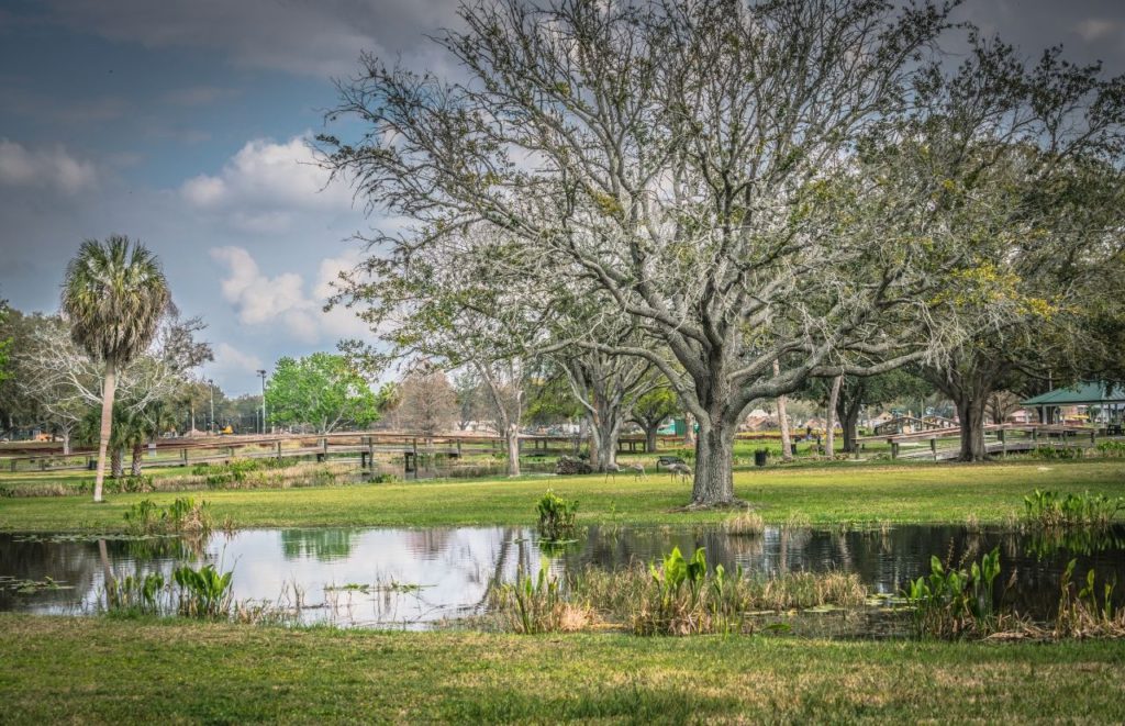 Leesburg Florida Venetian Gardens on my Florida travels.