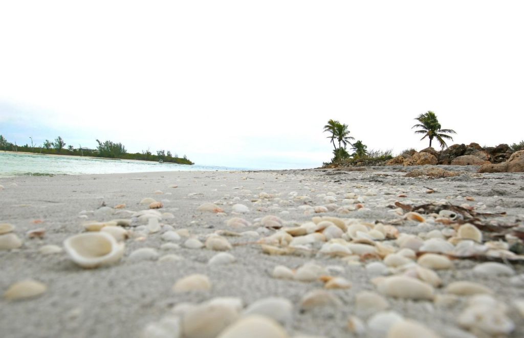 Fort Myers Florida Vacation Souvenir with Shells. Keep reading to get the best souvenirs from Florida.