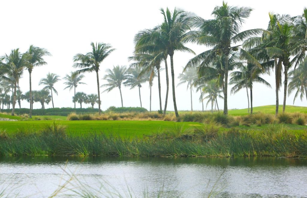 Fort Myers Sanibel Island Florida. Keep reading to get the best rain ponchos for travel to Florida.