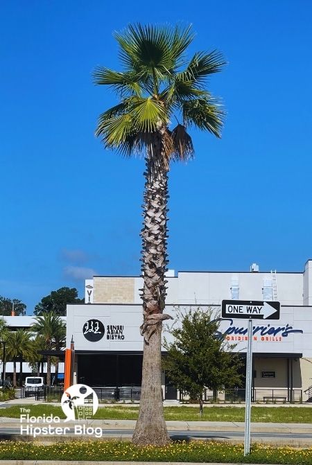 Sensei Asian Bistro and Spurrier's Grille Front Exterior Celebration Pointe Gainesville Florida. One of the best places to get sushi in Gainesville, Florida.