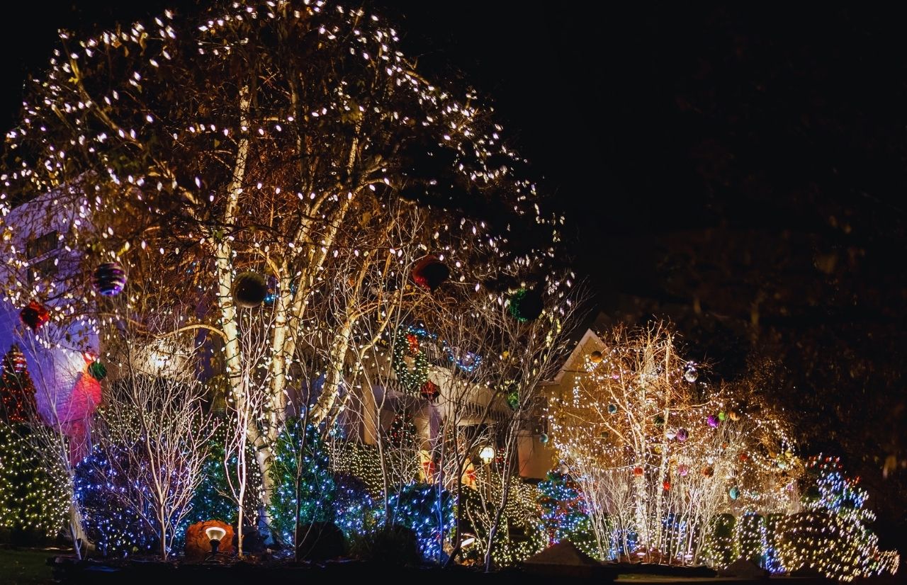 27 Most Festive Things to Do in Orlando for Christmas 2024 - Florida ...