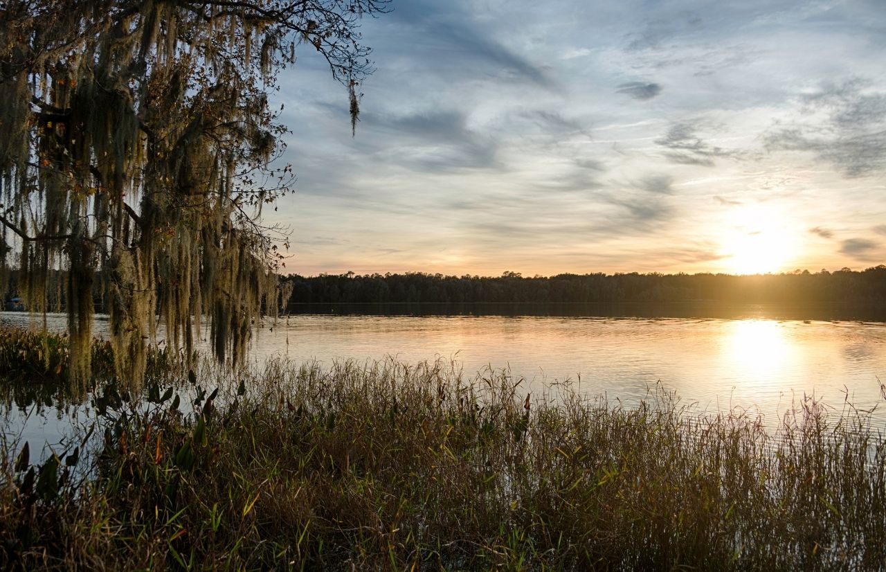 11 Best Trails and Parks in Gainesville That'll Take Your Breath Away ...