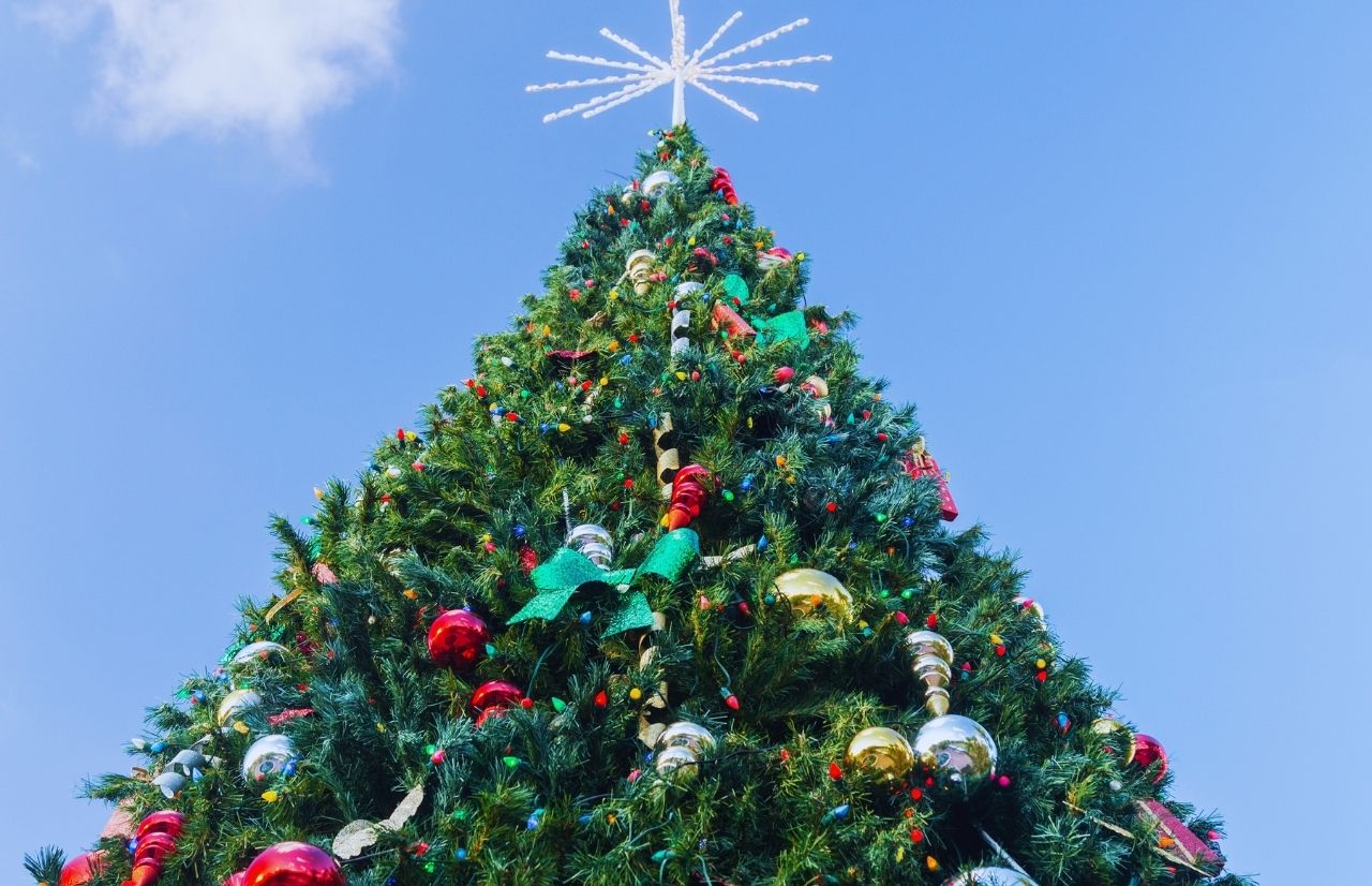 27 Most Festive Things to Do in Orlando for Christmas 2024 - Florida ...