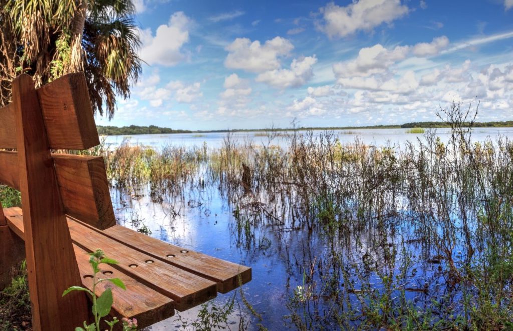 A bench overlooking Myakka River State Park near Sarasota, Florida. Keep reading for more places to take a perfect day trip from Orlando, Florida. 