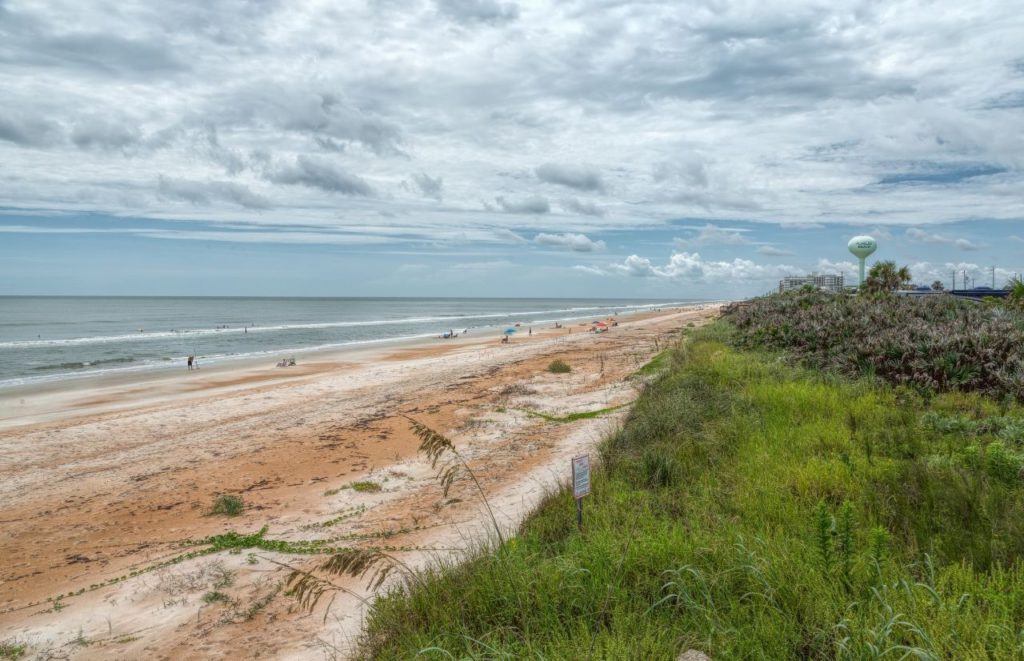 Flagler Beach in Florida with green tall grass and sandy beach. Keep reading to find out the best Gainesville daytrips.