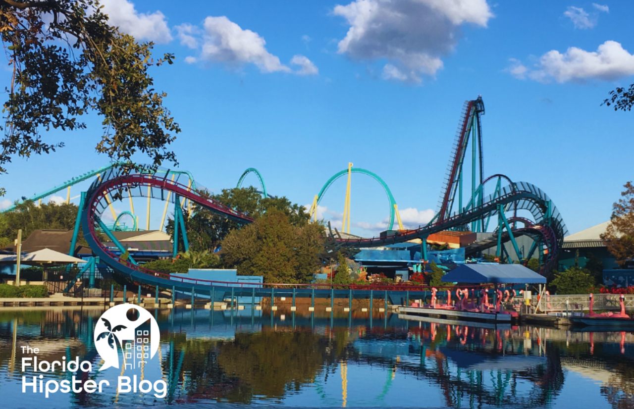 Mako roller coasters at SeaWorld Orlando. Keep reading to get the best things to do in Florida for Halloween and Fall!