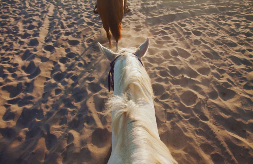 Horseback riding on the beach. One of the best things to do in Cape San Blas, Florida. Keep reading to find out the best things to do in Florida in the summer. 