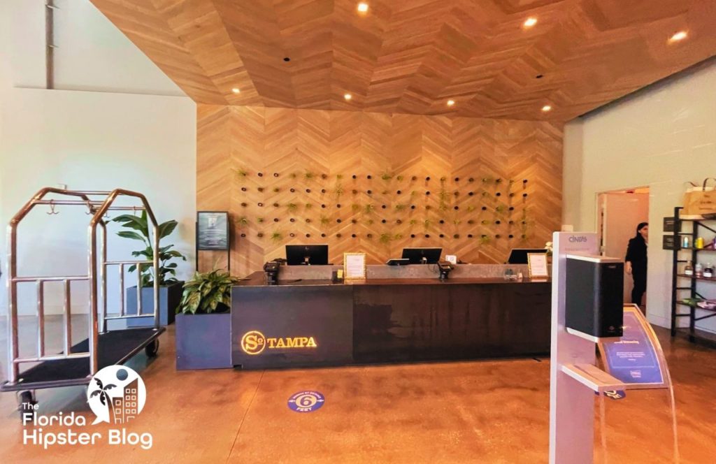 Things to do in Tampa Bay, Florida Hotel Alba. Modern and sleek looking check in area with ambient lighting at Hotel Alba Tampa. Keep reading to find out all you need to know about Hotel Alba Tampa. 