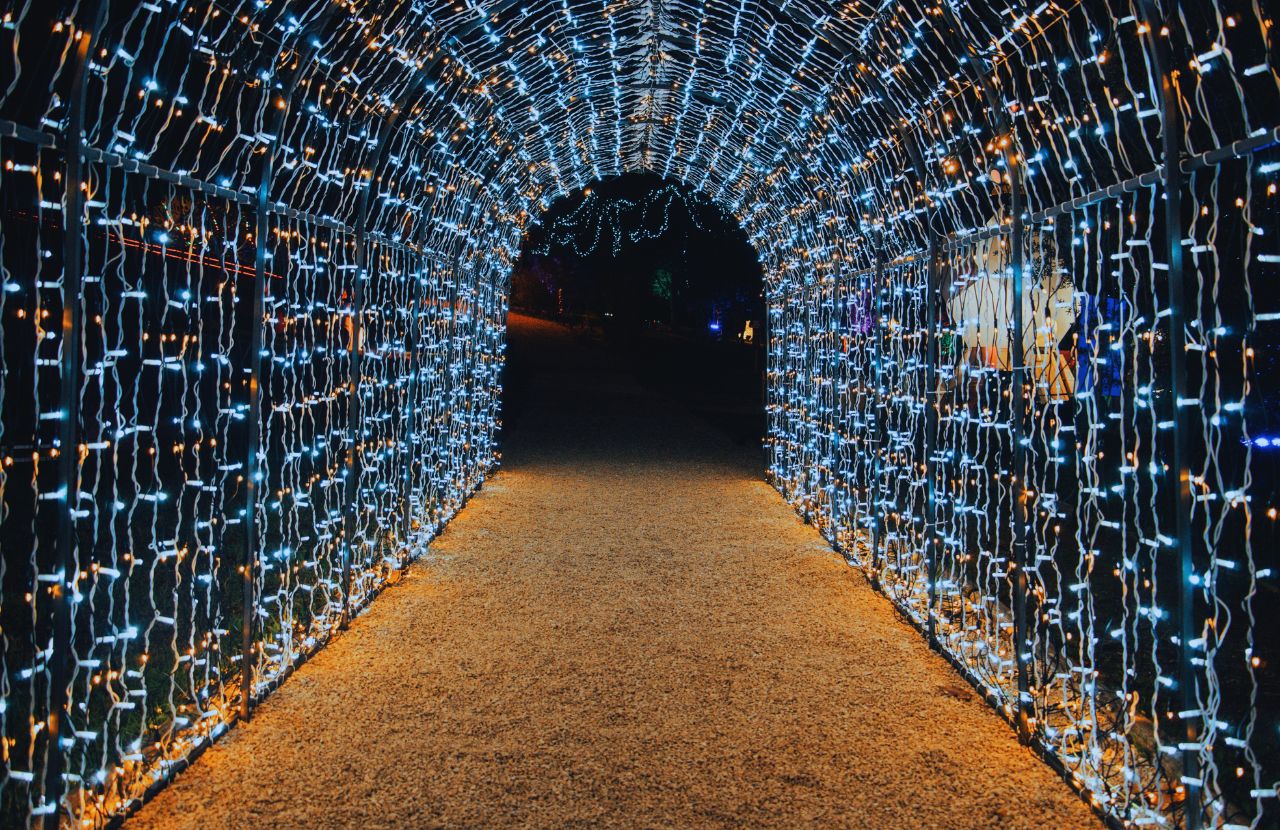 Top 10 Christmas Lights in Orlando You MUST See in 2023! - Florida Hipster