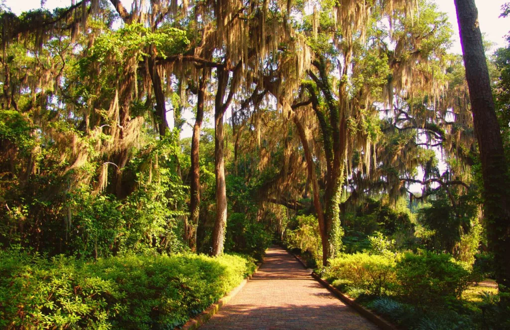 Alfred B. Maclay Gardens State Park in Tallahassee, Florida. Keep reading to find out what are the best things to do on a vacation in the Florida Panhandle. 