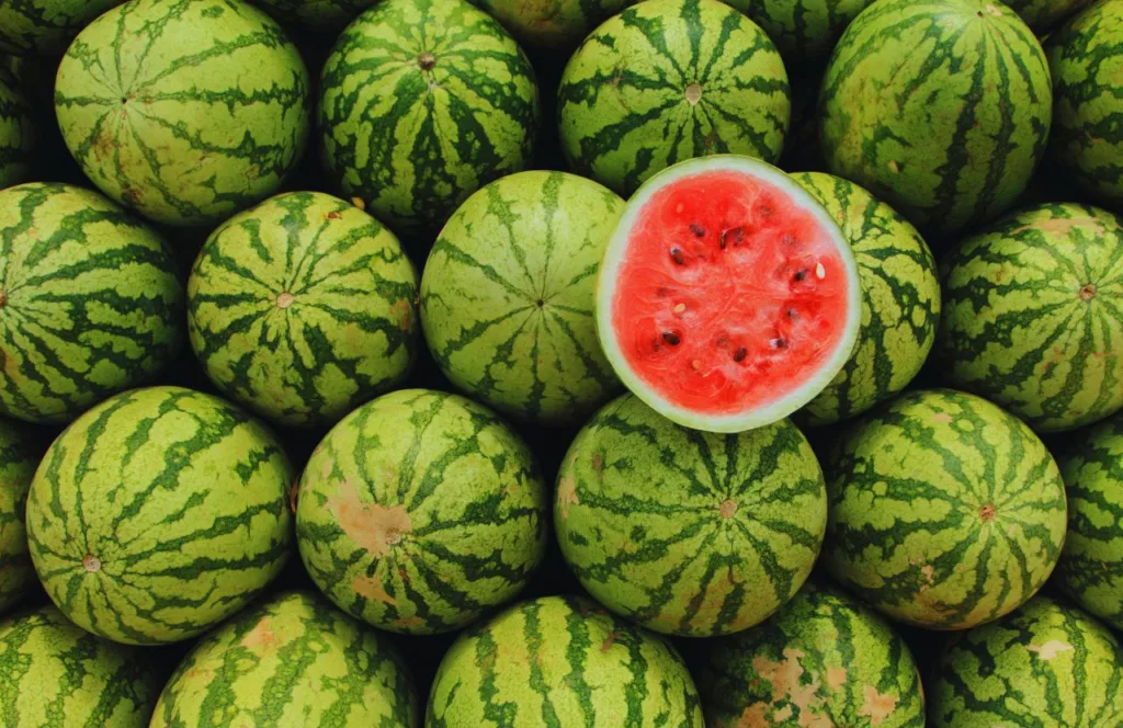 Batch of Watermelon Festival in Chipley, Florida near Marianna. Keep reading to find out what are the best things to do in the Florida Panhandle. 