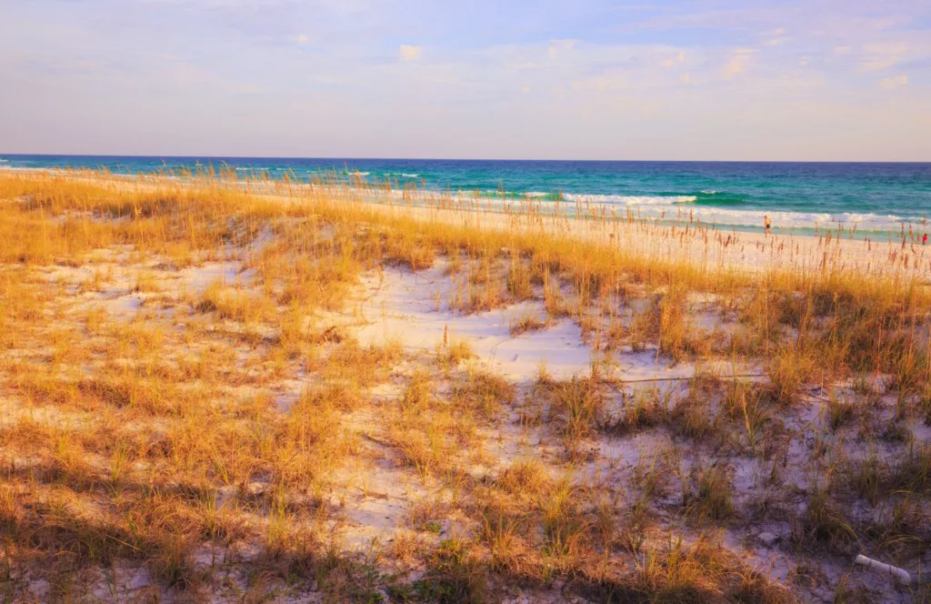 Destin, Florida Henderson Beach State Park with beautiful sand dunes, sandy shores and blue and green water.. Keep reading to learn about the best things to do in the Florida Panhandle. 