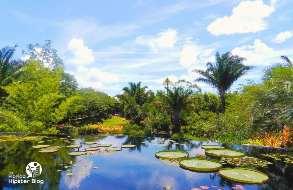 Naples, Florida water area with lily pads at the Naples Botanical Garden. One of the best Florida beaches to visit in February.