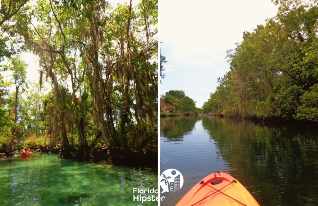 Kayaking on Three Sisters Springs, Florida. One of the best things to add to your Florida Summer Bucket List