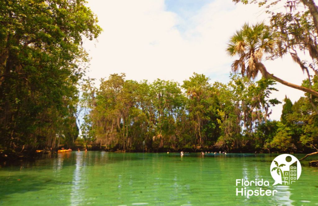 Kayaking on Three Sisters Springs, Florida. One of the best things to add to your Florida Winter Bucket List. Keep reading for the full guide to the ultimate Florida winter bucket list.  