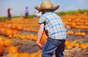 Best Pumpkin Patch Photoshoot Ideas in Florida with kid carrying pumpkin.