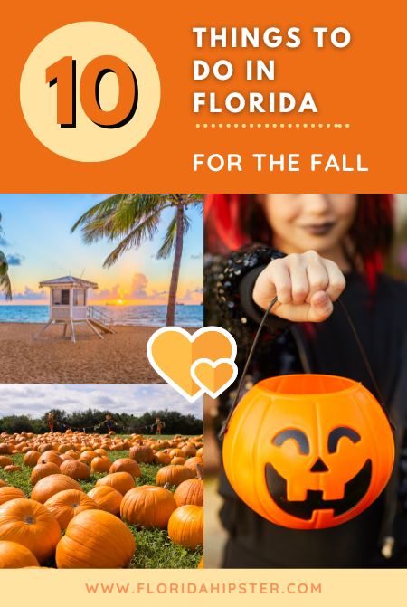 Florida Fall Ideas Bucket List