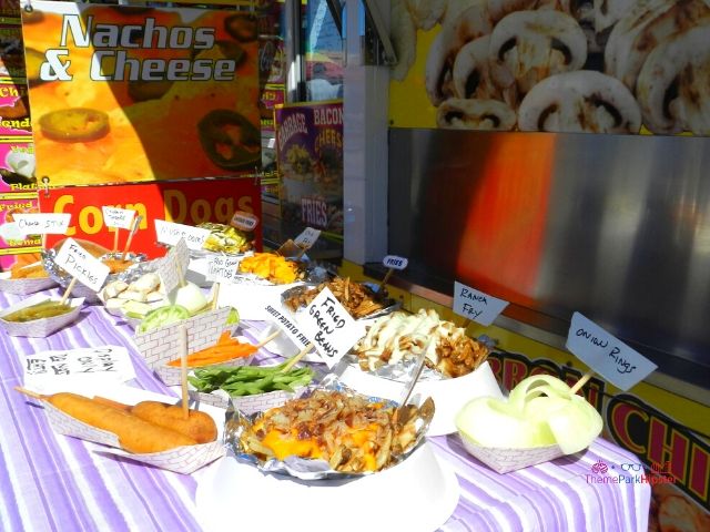 Florida-State-Fair-Food-Corn-Dogs-Fried-Green-Beans-Onion-Rings-Fried-Pickles